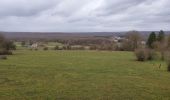 Trail Walking Doische - Matagne la petite120321 - Photo 4