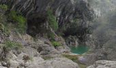 Trail Walking Navacelles - cal - Photo 11