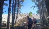 Tour Wandern Beaumont-du-Ventoux - crêtes de cachillan - Photo 4