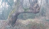 Trail Walking Saubole - SAUBOLE RS 2024 - Photo 1