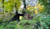 Tocht Stappen Largny-sur-Automne - en Forêt de Retz_90_09_2021_la Selve - Photo 16