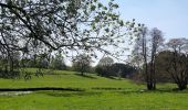 Tour Wandern Neufchâteau - Verlaine - Cap au vert - Photo 1