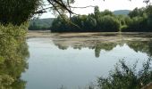 Randonnée Marche Osselle-Routelle - Osselle sablière - Photo 11