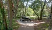Tour Wandern Verrières-le-Buisson - Bois de Verrières - Parc de Sceaux - Vallée aux Loups de Chatenay - Photo 7