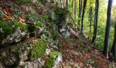 Trail On foot Auetal - Lauenau-Bennigsen - Photo 3