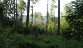 Tocht Te voet Oberursel - Keltenrundwanderweg - Photo 10