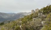 Tour Wandern Castellane - La Colle : Cadières de Brandis - Photo 20