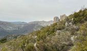 Trail Walking Castellane - La Colle : Cadières de Brandis - Photo 20