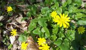Trail Walking L'Albenc - Circuit autour de l'Albenc par Chantesse - Photo 11