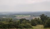 Tour Wandern Durbuy - heyd . lit du diable . refuge du brocard . col du rideux  . hé du pourceau . heyd - Photo 13