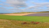 Trail Walking Sangatte - sangatte - cap blanc nez via les terres, retour par les falaise - Photo 8
