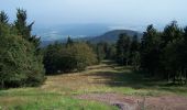 Tocht Te voet Bad Tabarz - Tabarz - Winterstein (Grüner Balken) - Photo 4