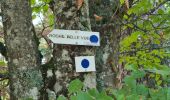 Trail Walking Rombach-le-Franc - Col de Schlingoutte - Photo 13