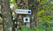 Tocht Stappen Rombach-le-Franc - Col de Schlingoutte - Photo 13