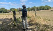 Tocht Stappen Lubbeek - Linden (Wijn lasses) variante  - Photo 10