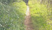 Trail Electric bike Cahors - Sortie débutant  - Photo 1