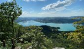 Tour Wandern Aiguebelette-le-Lac - L’épine et le lac d’Aiguebelette  - Photo 1