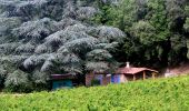 Tour Wandern Flassans-sur-Issole - SityTrail - Flassans rando Redon 2 - Photo 11