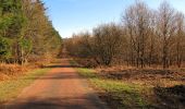 Trail Walking Retheuil - en forêt de Retz_76_dans les forêts de Retz et de Compiègne - Photo 4