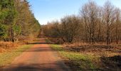 Randonnée Marche Retheuil - en forêt de Retz_76_dans les forêts de Retz et de Compiègne - Photo 4