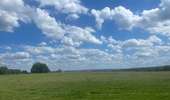 Tocht Stappen Rendeux - Cheoux  - Photo 9