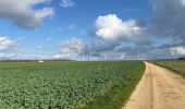 Tour Wandern Riaucourt - Riaucourt - Photo 2