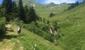 Trail Walking Taninges - Promenade de la cascade - Photo 2