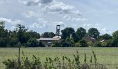 Randonnée  Jemeppe-sur-Sambre - SPY Ferme de Goyet - NAMUR place St Aubin - Photo 5