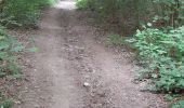 Trail Walking Havelange - offoux ac 4 - Photo 2