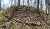 Tour Zu Fuß Ebermannstadt - Rundweg Schlüsselstein - Photo 5