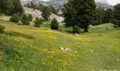 Randonnée Marche Die - Le Glandasse - Col des Bachassons par Valcroissant - Photo 13