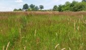 Excursión Senderismo Esneux - autour de fontin par les prés les champs les bois et les hameaux - Photo 8