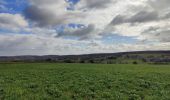 Tour Wandern Floreffe - Franière - Floreffe - Malonne - Photo 9