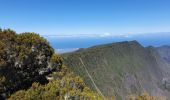 Trail Walking Entre-Deux - Entre-Deux - Sentier Inard (boucle) - Photo 5