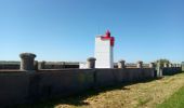 Tocht Hybride fiets Rochefort - Rochefort -les marais-embouchure de la Charente  - Photo 12