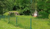 Tour Wandern Saint-Amand-les-Eaux - terril vicoigne - Photo 9