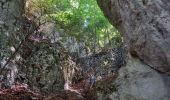 Randonnée Marche Saint-Julien-en-Vercors - La porte du Diable - Photo 9