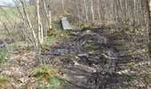 Tour Wandern Welkenrath - 20220411 - Grunhaut 7 Km - Photo 16