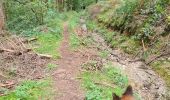 Excursión Senderismo Bouillon - Au départ de l'abbaye de Cordemois  - Photo 7