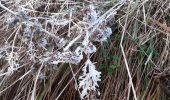 Trail Walking Apremont - pointe de la gorgeat par col granier - Photo 1