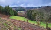 Tour Wandern Bouillon - Rochehaut 190323 - Photo 15