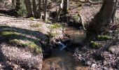 Randonnée Marche Sprimont - Louveigne -andoumont-fraipont bis 12 Km - Photo 8