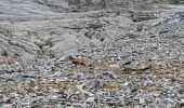 Tocht Stappen Aragnouet - Lac de Barroude avec Blajan - Photo 2