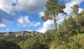 Randonnée Marche Vauvenargues - Sainte-Victoire (accès par Vauvenargues et GR9) - Photo 19