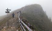 Trail Walking Brixen - Bressanone - Plose : Plöisehütte - Lüsner Scharte - Rossalm - Photo 12