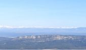 Trail Walking Jouques - Concors  Loli 31 01 2023 - Photo 1