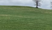 Trail Walking Tervuren - Promenade XT2 - Photo 9