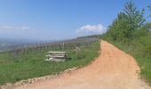 Randonnée Marche Marlenheim - Circuit sur les hauteurs de Marlenheim - Wasselonne autour du Stephansberg - Photo 10