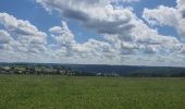 Tocht Stappen Bouillon - rando rochehaut 11-06-2022 - Photo 1