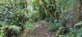 Point d'intérêt Le Lorrain - morne pomme - Photo 1